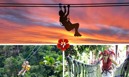 Best Puerto Rico Zip Line Adventure Parks <BR>& Top Rated Tours – 2024 Guide
