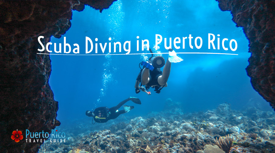 Puerto Rico Scuba Diving Charters & Tours