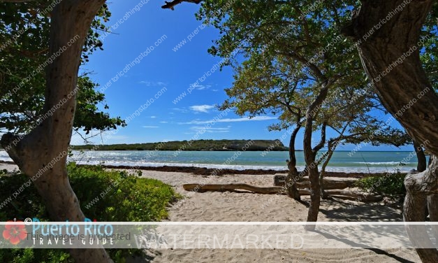 Best Beaches on the South Coast of Puerto Rico <BR>2025 Beaches Guide