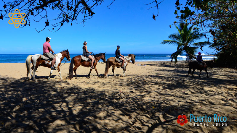 Horseback Riding - Things to do in Isabela, Puerto Rico