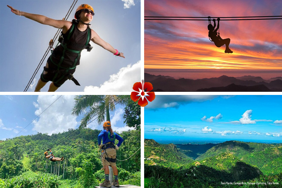 Puerto Rico Zip Line / Zip Lining Tours - Best Things to Do in Puerto Rico