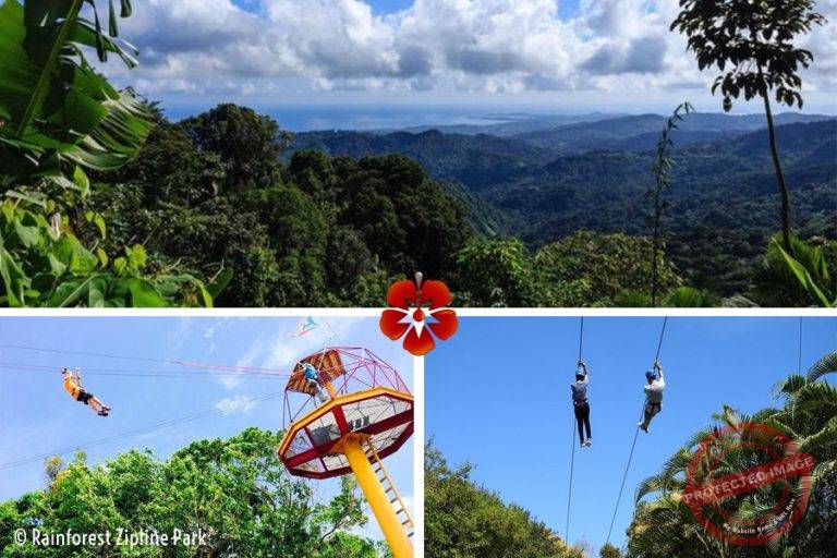 Zip Line Rio Puerto Rico Ziplining Tours - San Juan, Rainforest, Toro Verde - Top Places