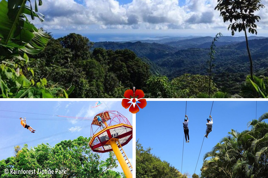 Puerto Rico Zip Line / Ziplining  - Rainforest Zipline Park