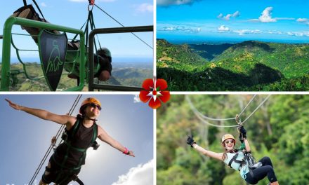 Puerto Rico Ziplining Tours & Parks Guide