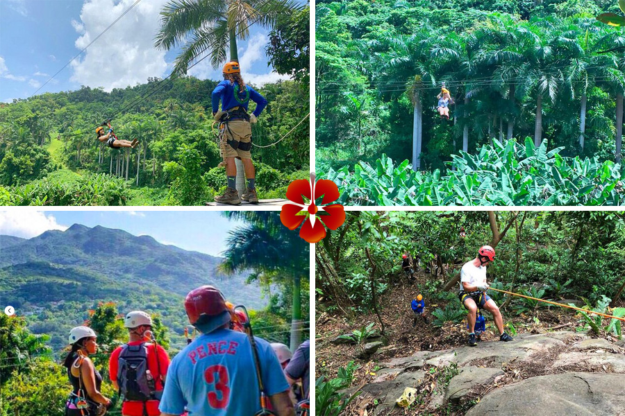Puerto Rico Ziplining Tours - Yunque Rainforest