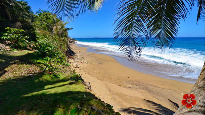 Spanish Wall - Best Beaches in Rincon, Puerto Rico