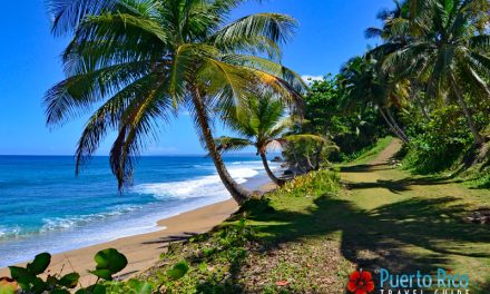 Spanish Wall Beach – Rincon, Puerto Rico <BR>2024 Beach Guide
