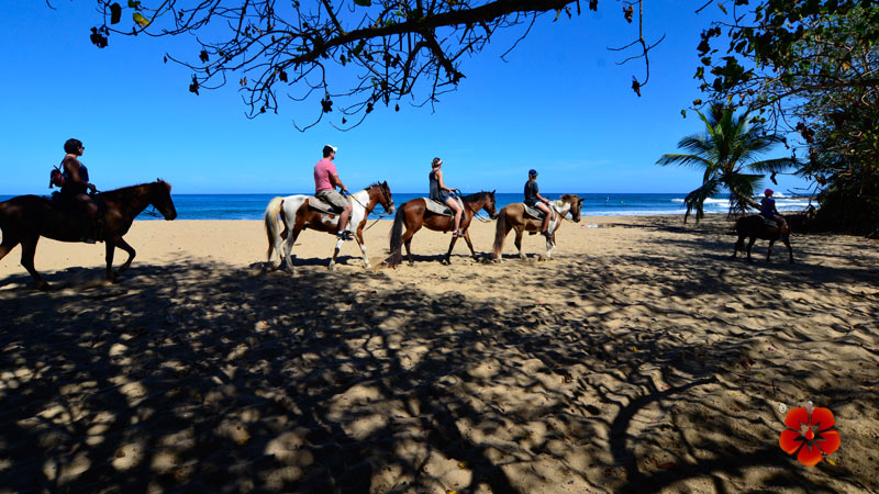 Horseback Riding Tour in Rincon, Puerto Rico