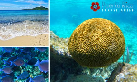 Puerto Rico Snorkeling Guide – 2024 <BR>Best Snorkeling Beaches, Tours, Excursions & Private Charters
