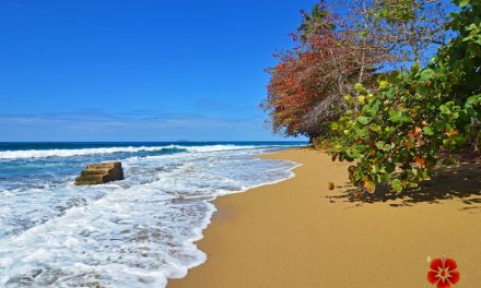Steps Beach – Reserva Marina Tres Palmas <BR>Rincon, Puerto Rico – 2024 Beach Guide