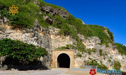 El Tunel de Guajataca (Guajataca Railroad Tunnel)<BR>Isabela, Puerto Rico – 2024 Guide