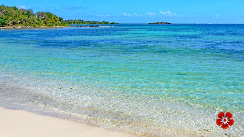Best Beaches in Vieques
