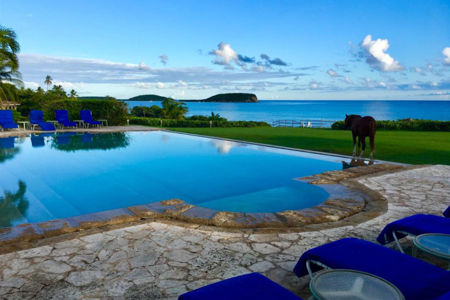 Blue Horizon Boutique Resort - Best places to stay in Vieques, Puerto Rico