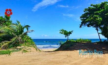 Playa Wilderness – Aguadilla, Puerto Rico <BR>2024 Guide